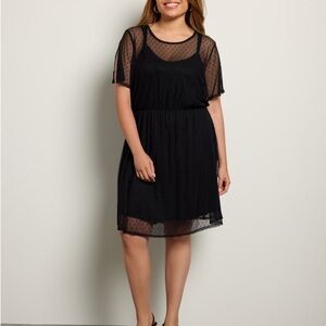 Loveappella Black Sheer Polka Dot Dress